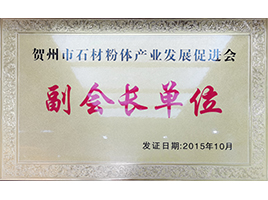 贺州石材粉体发展产业促进会副会长单位——新伟业粉体